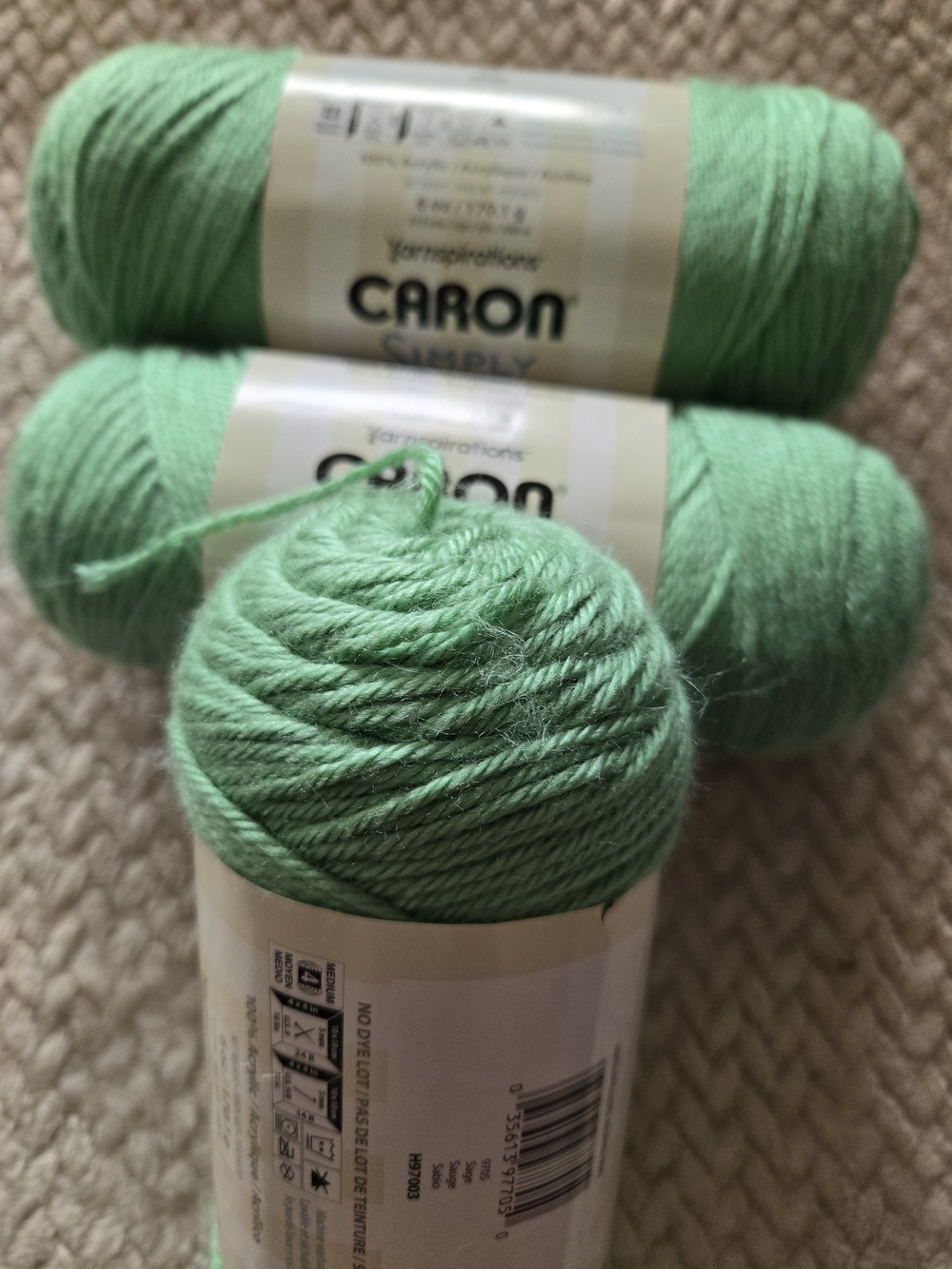 Caron Simply Soft Sage Yarn Lot of 3 Acrylic Skeins Crochet Knit